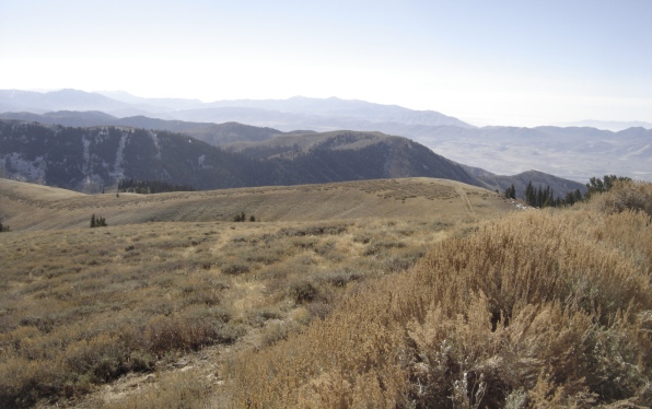 south from Logan Peak