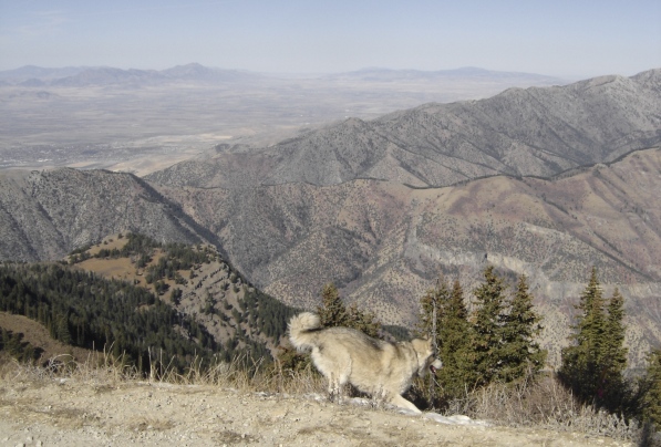 logan peak