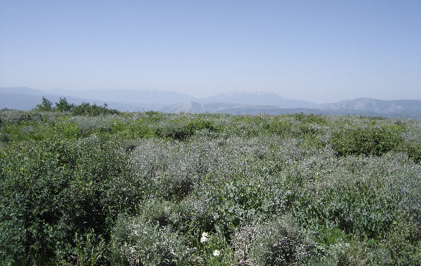 Monte Cristo Peak