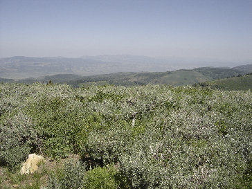 Monte Cristo toward Wyoming