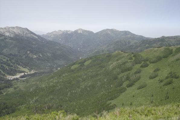 Big Cottonwood Canyon