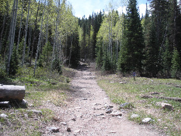 Doughnut Falls trail