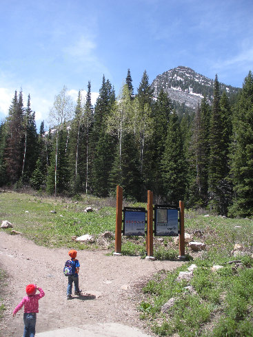 Doughnut Falls trailhead