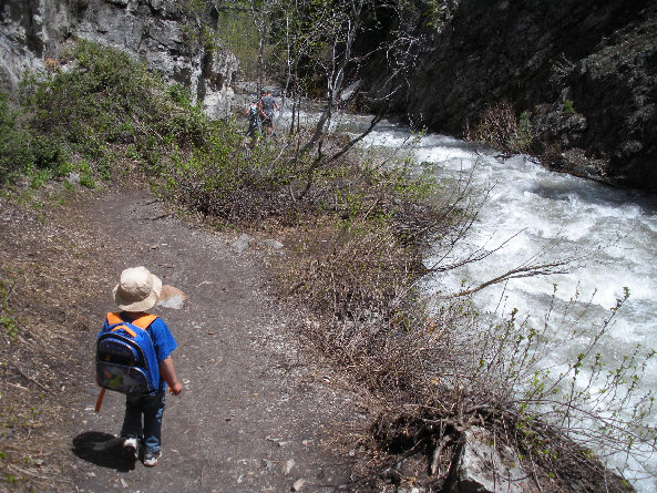 Doughnut Falls trail