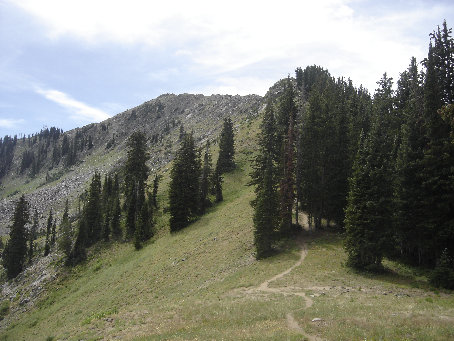 Clayton Peak trail