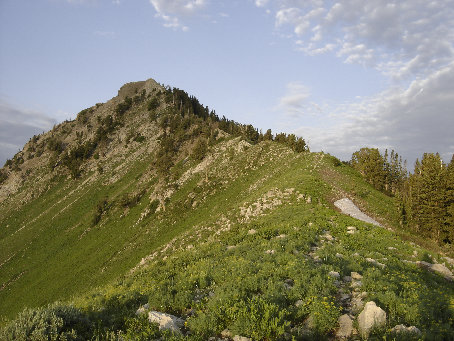 Mount Raymond trail