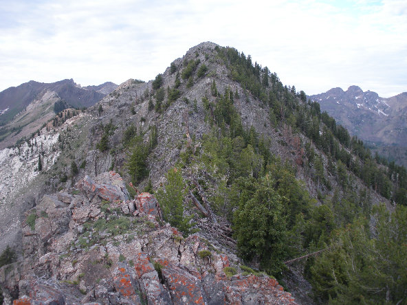 Kessler ridge line