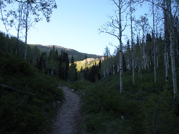 Dog Lake Trail