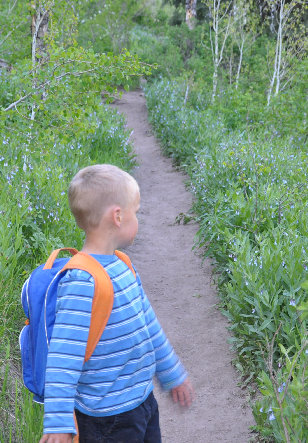 Hiking to Dog Lake Utah