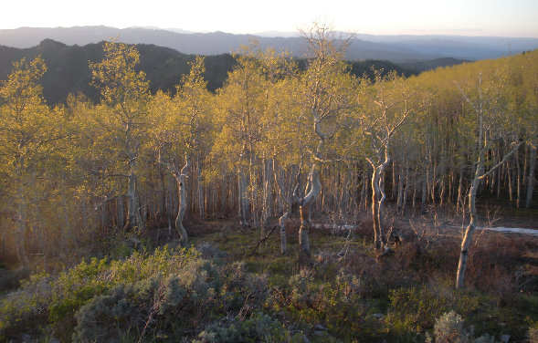 Wasatch Range north