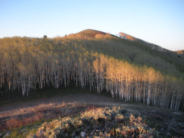 Little Water Peak