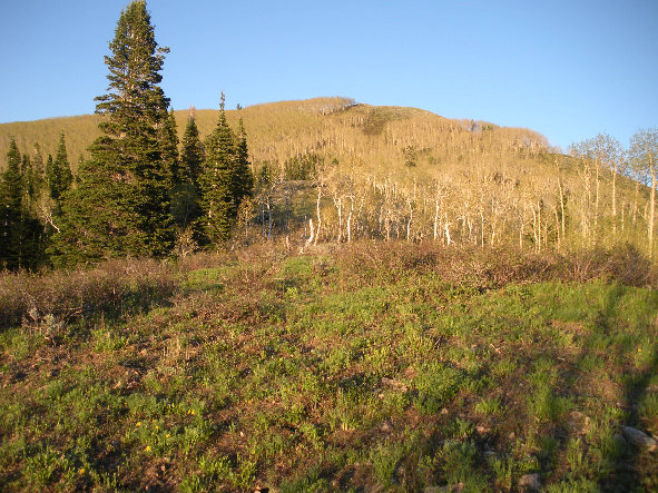 Little Water Peak hike