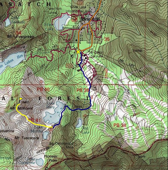 Mount Millicent map