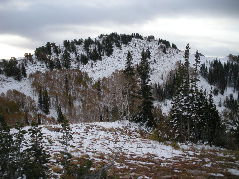 Silver Benchmark Wasatch Mountains