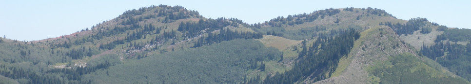 Wasatch Crest from Reynolds Peak