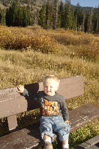 Silver Lake bench