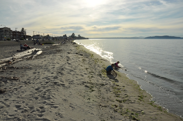 Alki Beach