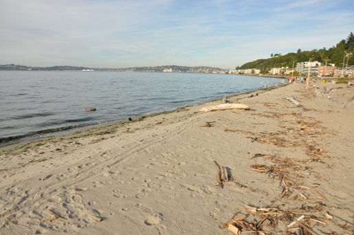 Alki Beach