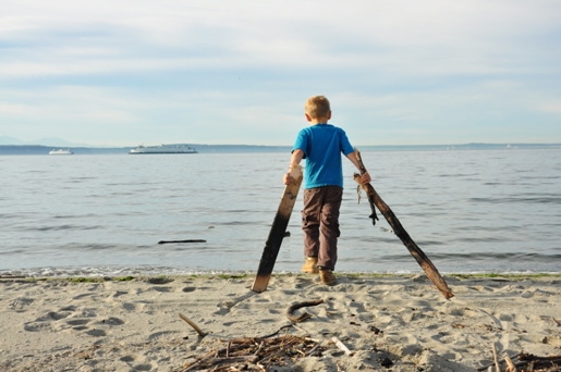 driftwood at alki