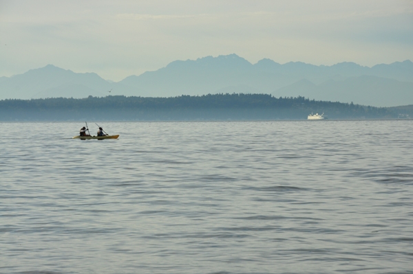 kayaks & ferryboats 