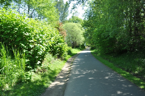 biking