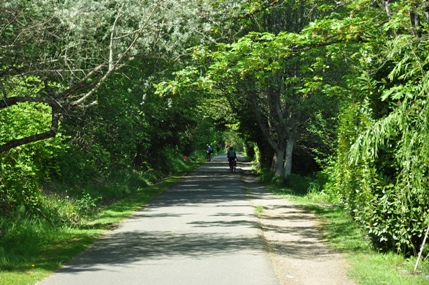 Burke Gilman Trail 