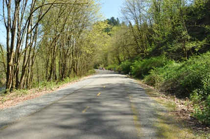 cedar river trail