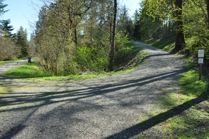 cedar river trail