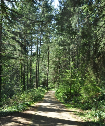 West Campus Trail