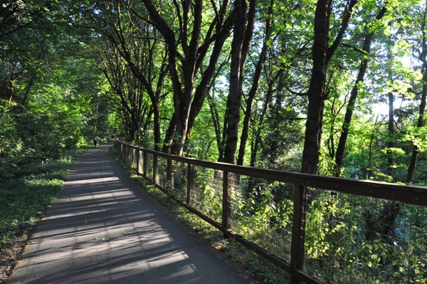 bike trail