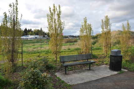 milton trail