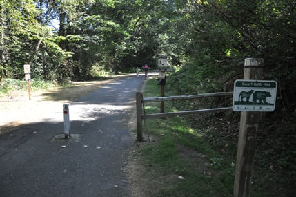 Lake Alice Trailhead