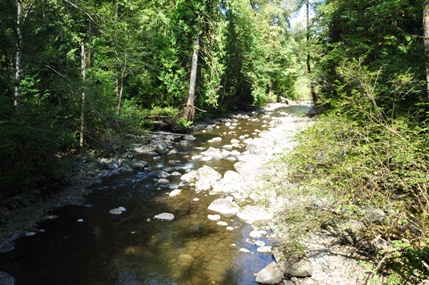 Raging River 