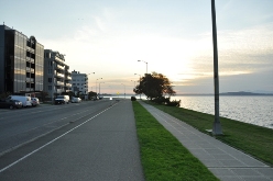 Alki Beach Trail