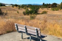 Centennial Trail