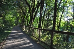 Milton Trail