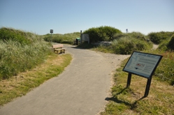 Westport Dunes Trail