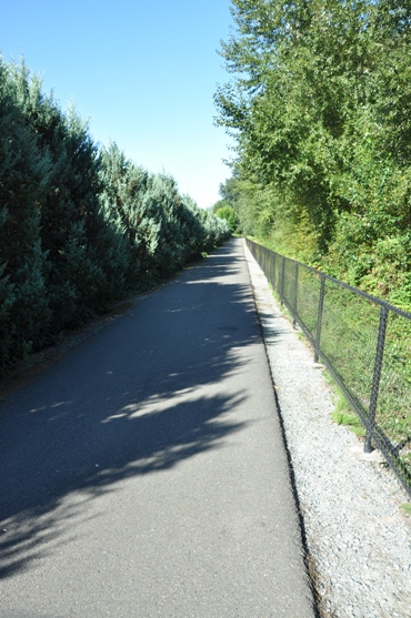 puyallup trail