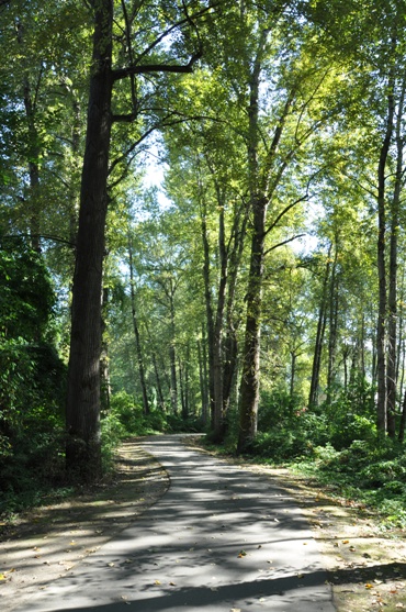 Riverwalk Trail