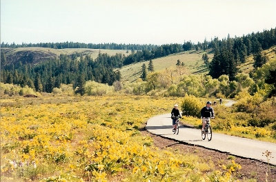 Reecer Creek Road