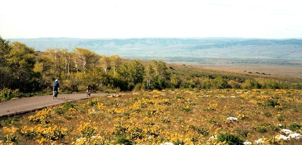 reecer creek biking