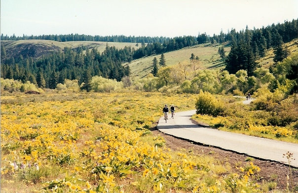 Reecer Creek Road