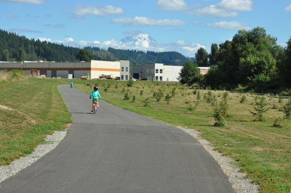 Mount Rainier 