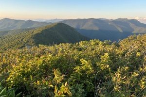 Craggy Dome