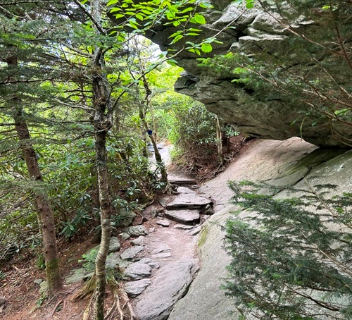 grandfather mountain trail