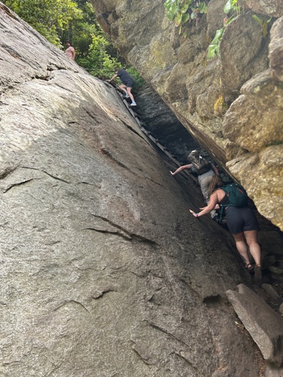 grandfather mountain trail