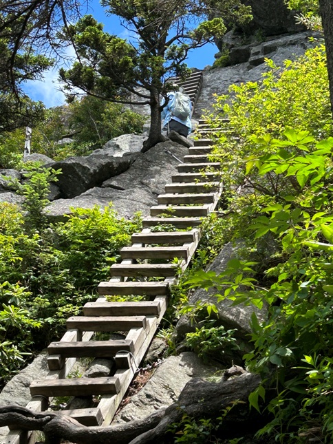 grandfather mountain trail