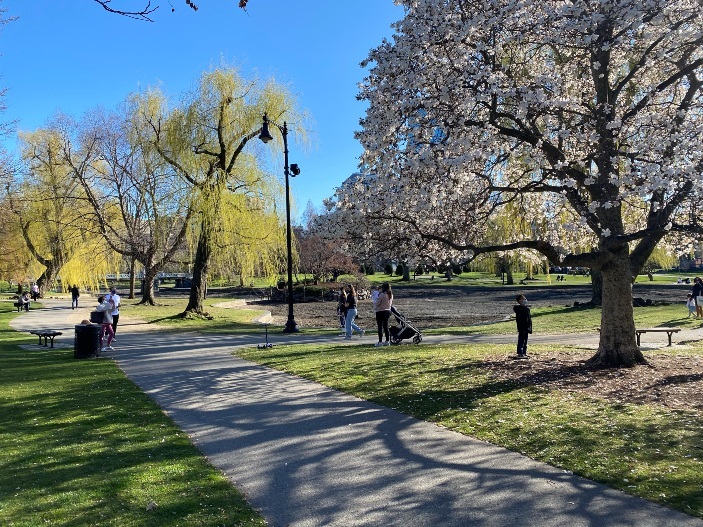 Boston Commons