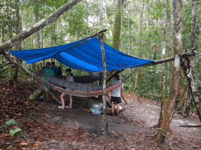 jungle camp 