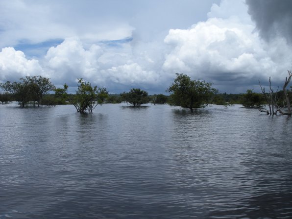 Urubu River